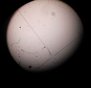 Venustransit_2012_2_mini